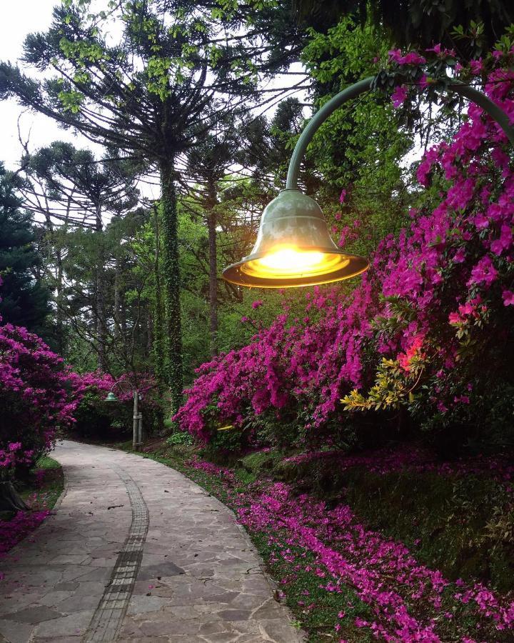 Apartamento Refugio Do Ipe Em Gramado - Proximo Ao Lago Negro 외부 사진